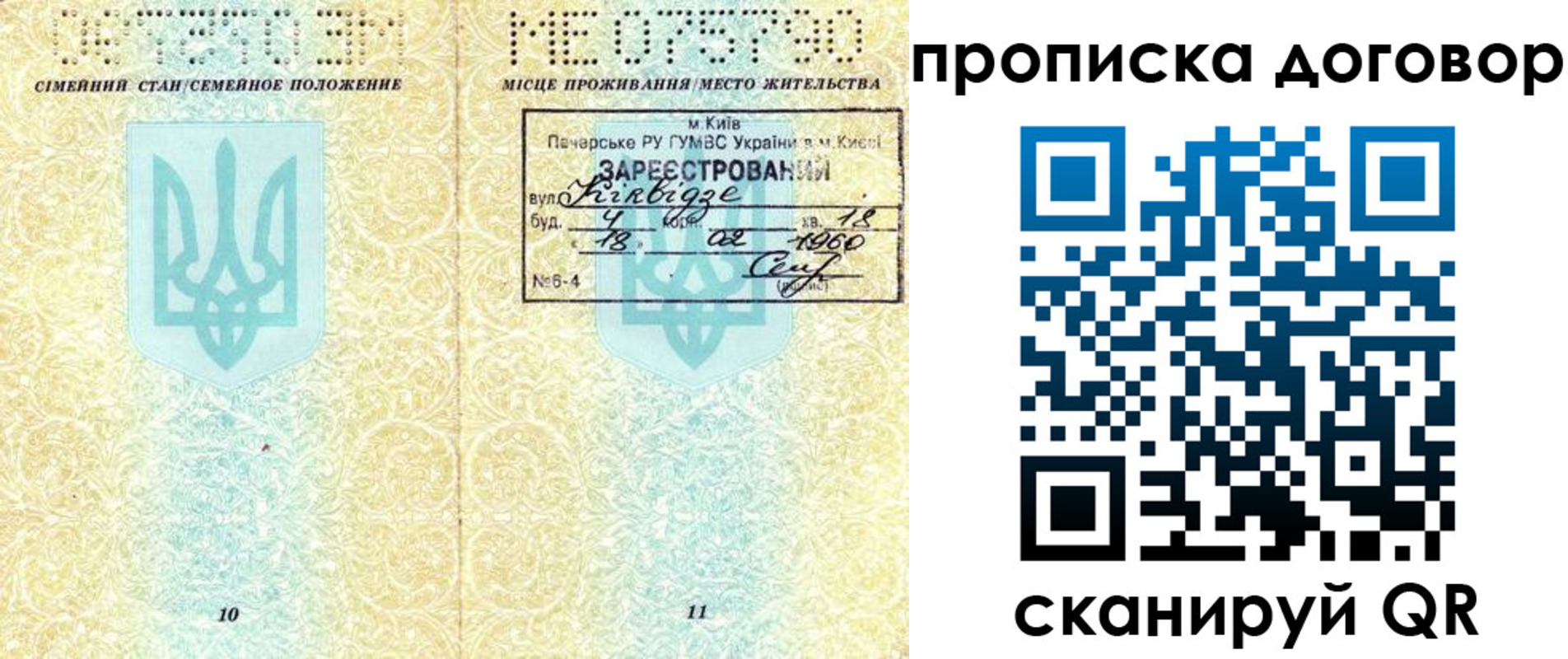 миграционный учет в Мончегорске